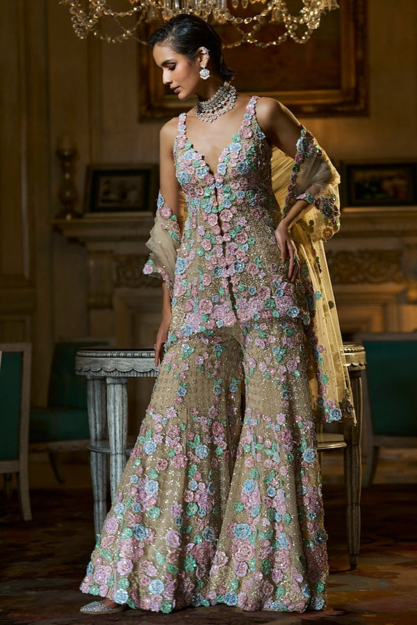 Multi-Coloured Three-Dimensional Sharara Set Full