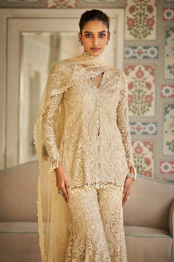 Nude Paisley Sharara Set Full 2