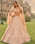 Rose Gold Lehenga Set