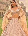 Rose Gold Lehenga Set