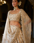 Beige Zardosi Lehenga Set