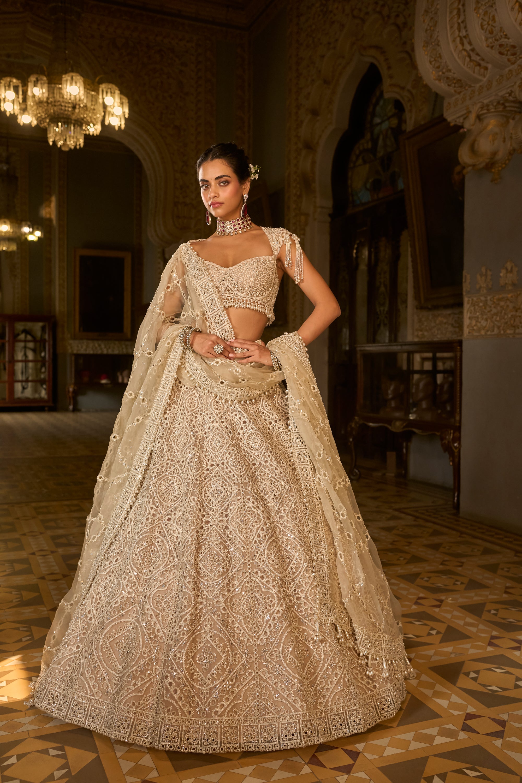 Dark Beige Thread Work Lehenga Set