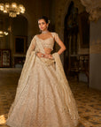 Dark Beige Thread Work Lehenga Set