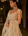 Dark Beige Thread Work Lehenga Set