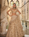 Beige & Gold Lehenga Set