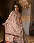 Rose Gold Tissue Lehenga Set