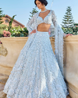 Powder Blue Three-Dimensional Lehenga Set