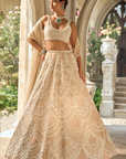 Nude Chandelier Lehenga Set