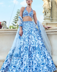 Blue Applique Lehenga Set