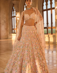 Multi-Coloured Three-Dimensional Floral Lehenga Set
