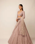 Ash Pink Lehenga Set