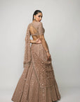 Bronze Rosé Lehenga Set