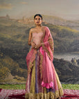 Rangoli Zari Lehenga Set