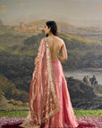Gulbahar Mirror Sharara Set
