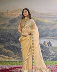Kahani Jadau Organza Saree Set