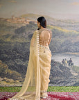 Kahani Jadau Organza Saree Set