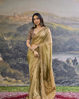 Zarvika Fusion Tissue Saree Set