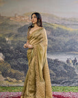 Zarvika Fusion Tissue Saree Set