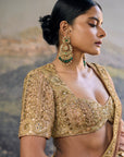 Trinaya Saree Set
