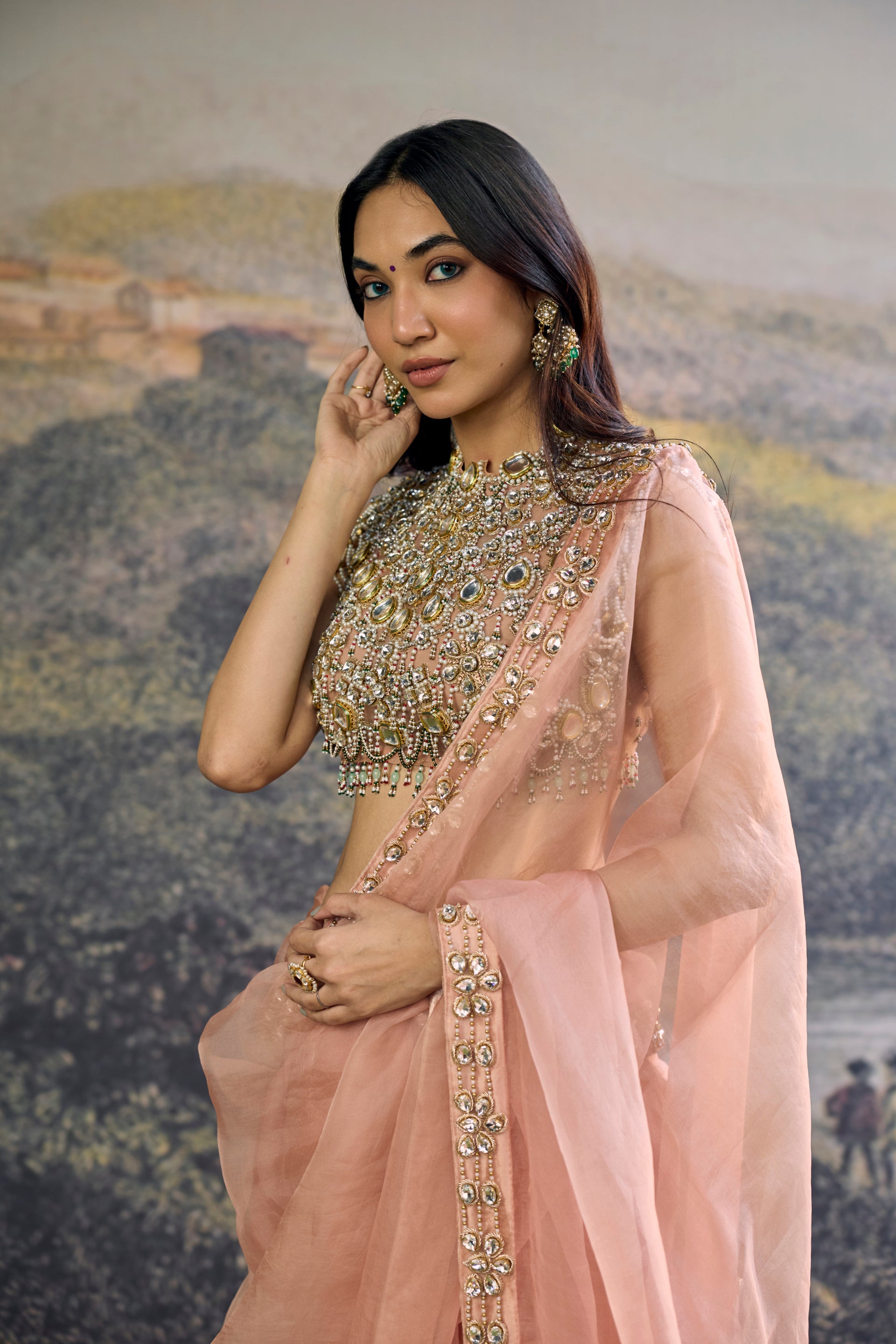 Padmika Saree Set