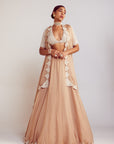 Beige Organza Lehenga Set