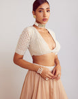 Beige Organza Lehenga Set