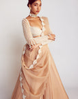 Beige Pearl Chandelier Drop Organza Lehenga Set
