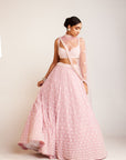 Powder Pink Flower Lehenga Set