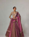 Mud Mauve Multicolor Lehenga With V Neck Blouse