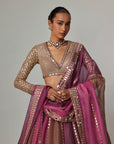 Mud Mauve Multicolor Lehenga With V Neck Blouse