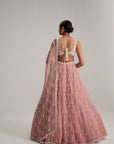 Dusty Rose Organza Long Pearl Tassels Lehenga Set