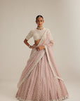 Ash Pink Pearl Drop Lehenga With High Neck Blouse