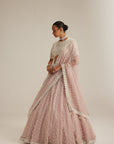 Ash Pink Pearl Drop Lehenga With High Neck Blouse