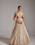 Light Beige V Neck Satin Skirt Set
