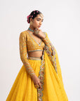 Yellow Silk Organza Lehenga Set