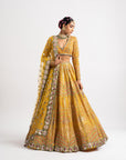Yellow V Neck Heavy Multi Color Lehenga Set