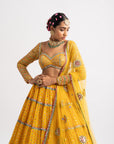 Yellow Multi Tier Multi Color Lehenga Set
