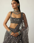 Metallic Grey Lehenga Set