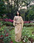 Sona Jhalaar Jadau Saree Set