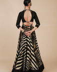 Zebra Print Skirt Set