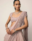 Ash Pink Sequins Embroidered Lehenga Set