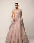 Ash Pink Sequins Embroidered Lehenga Set