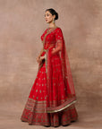 Bright Red Lehenga Set
