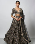 Eesha Lehenga Set