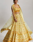 Ashi Lehenga With Cape Set