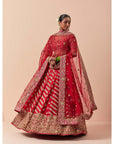 Red Zardozi Embroidered Lehenga Set