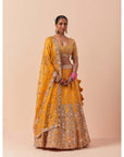 Mango Zardozi Heavy Lehenga Set
