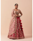Red Lehenga Set With A Powder Pink Blouse And Dupatta Set