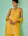 Fiza Sharara