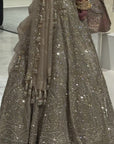 Gold Silver Tissue Lehenga Set - Ready to Ship